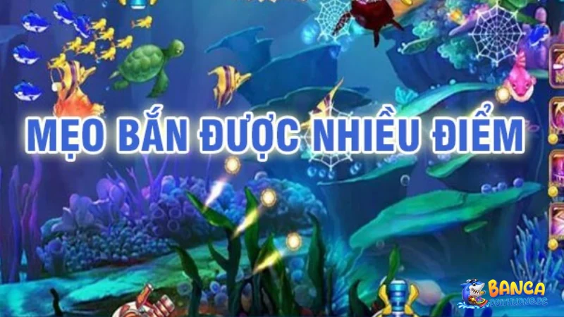 Mẹo bắn cá tài lộc đổi thưởng hiệu quả